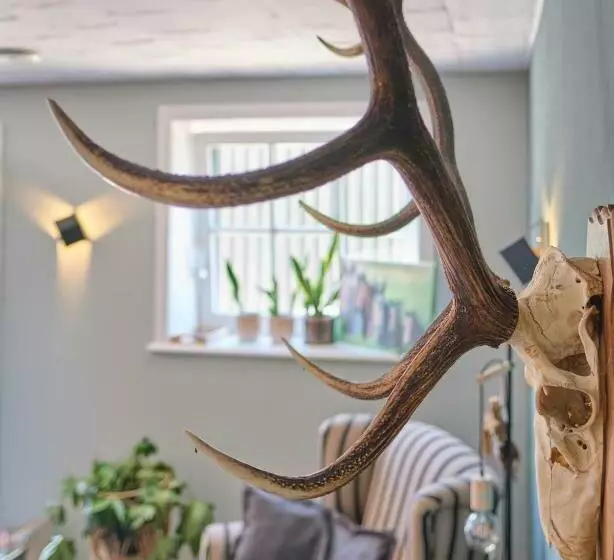 B & B De Marehoeve