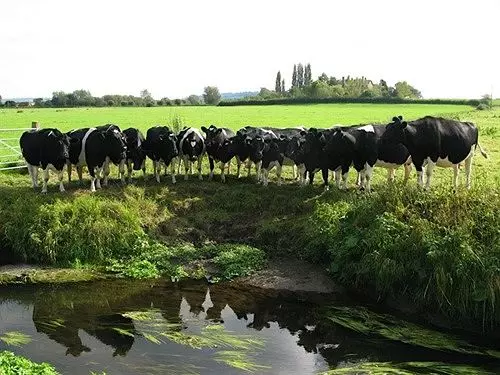 住宿加早餐 Godney Post House