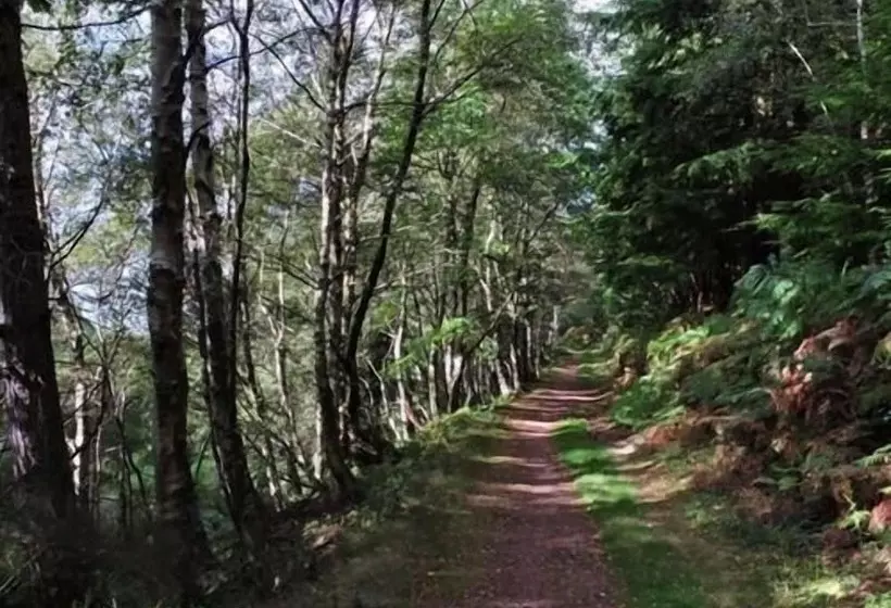 Bed and Breakfast The Gables