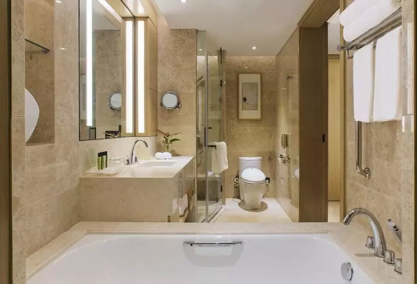 ホテル Holiday Inn Nanjing Qinhuai South Suites, An Ihg