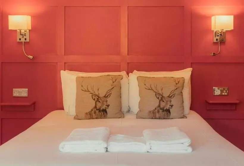 هتل Ballinluig Rooms & Suites