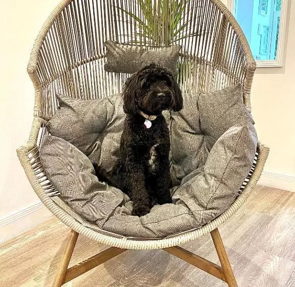 Mode Apartments St Annes