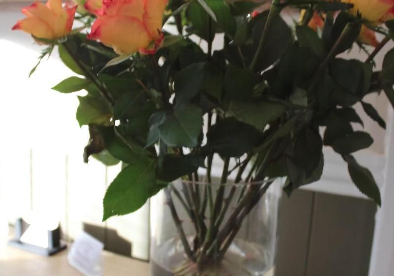 פנסיון Camelot Guest House