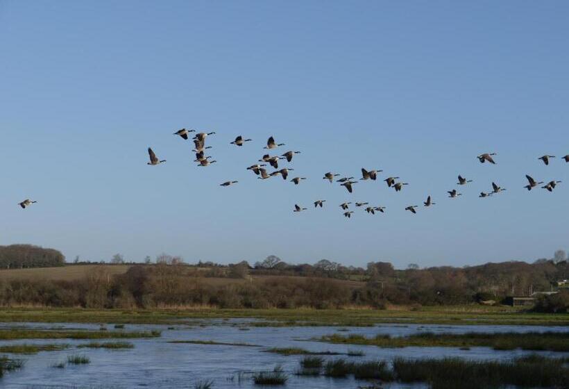 Пансион The Lodge On The Marsh