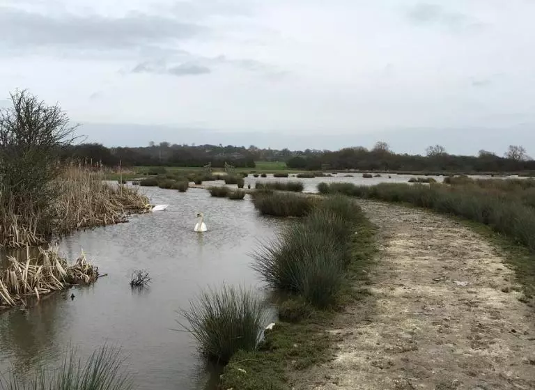 膳宿费 The Lodge On The Marsh
