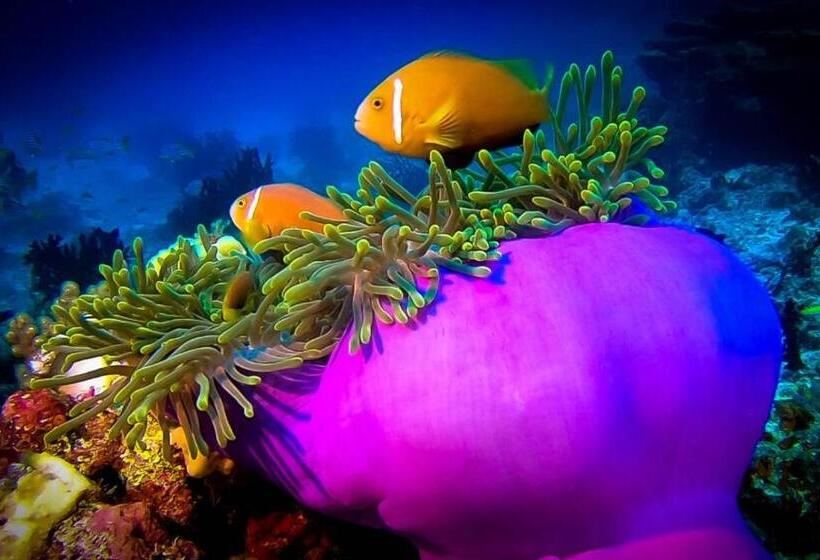 هتل Thoddoo Garden Inn