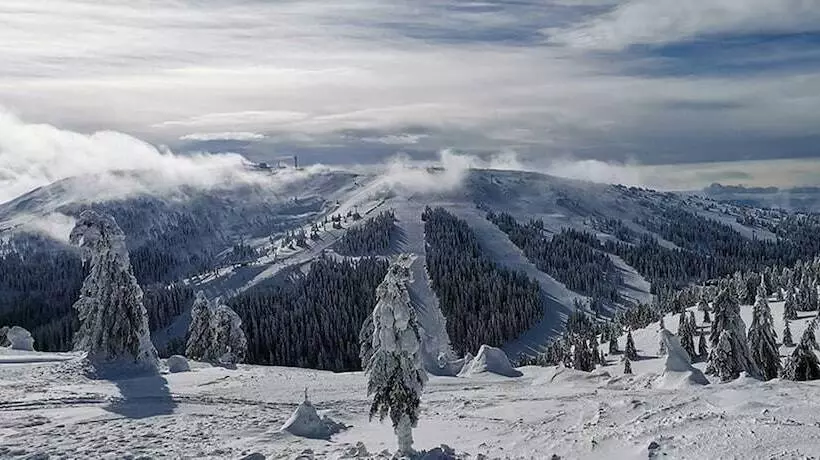 Djina Kopaonik