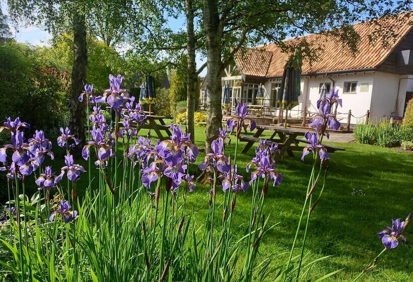 فندق Golden Ball