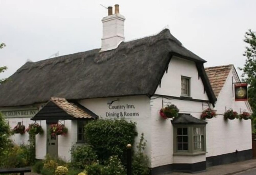 فندق Golden Ball