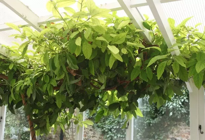 ホテル The Crown House Inn