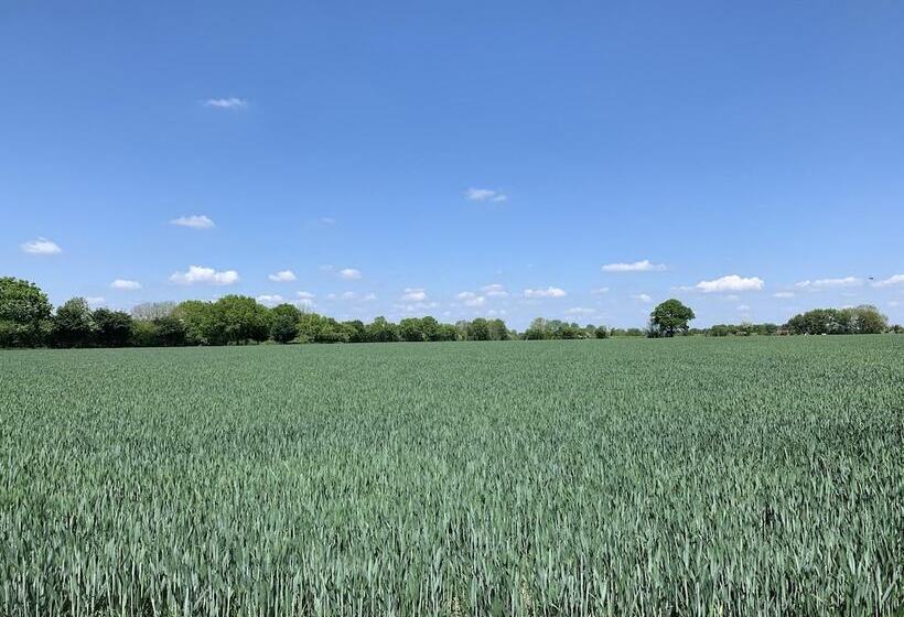 בית מלון כפרי The Kings Arms