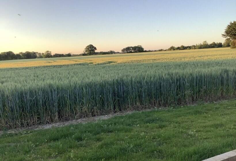 בית מלון כפרי The Kings Arms