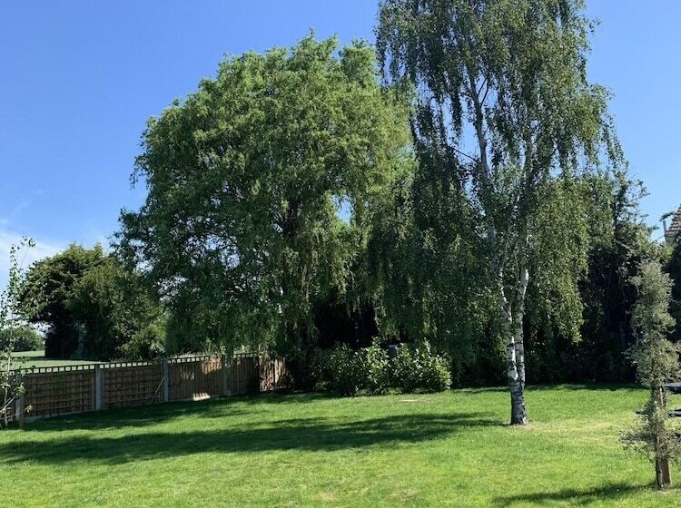 בית מלון כפרי The Kings Arms