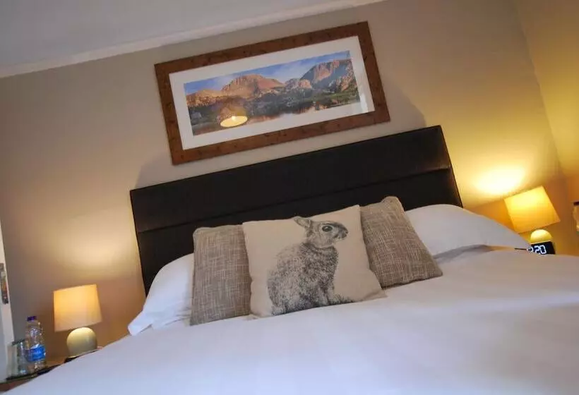 酒店 The Punchbowl