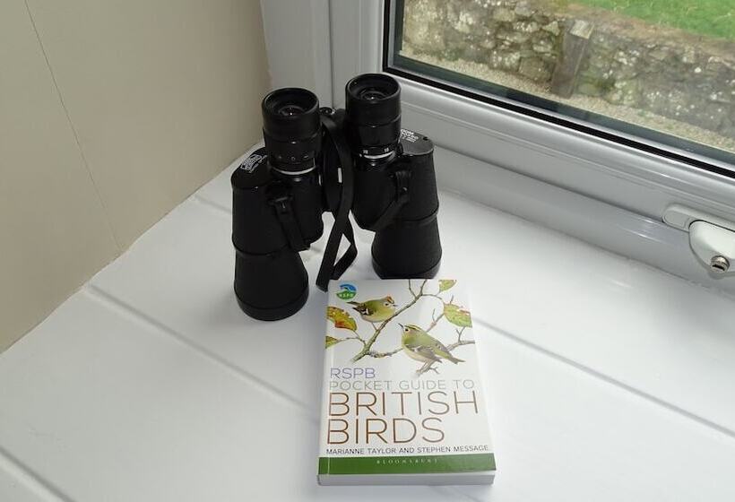 ペンション Llwyn Onn Guest House, North Wales