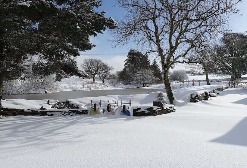ペンション Llwyn Onn Guest House, North Wales