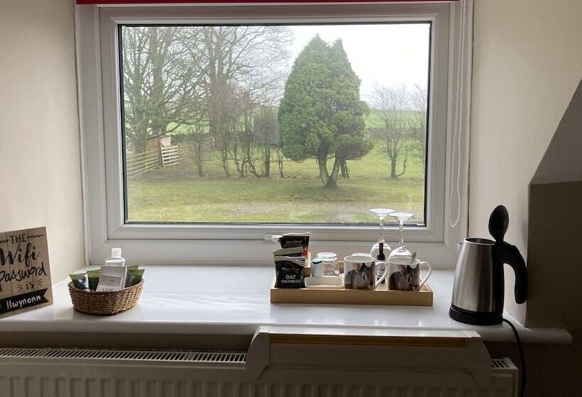 ペンション Llwyn Onn Guest House, North Wales