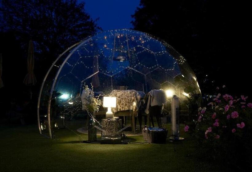 بنسيون The Cottage