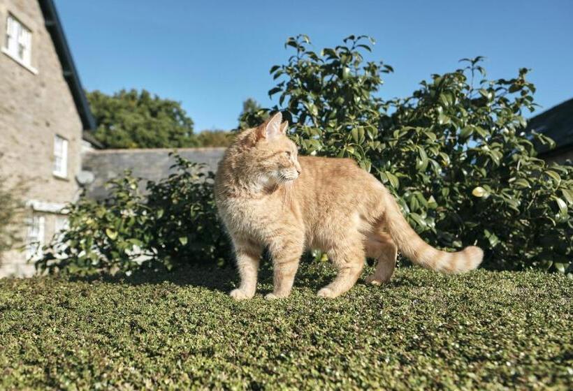 The Agents House, Bed & Breakfast