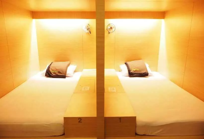 The Packer Lodge Hostel