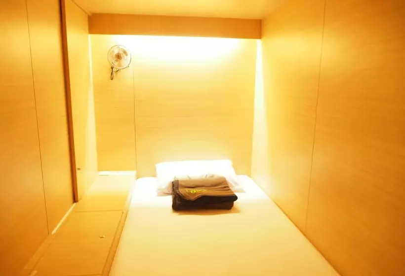 The Packer Lodge Hostel