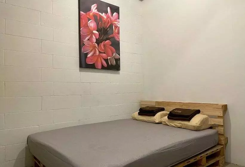 The Packer Lodge Hostel