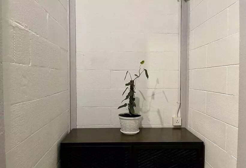 The Packer Lodge Hostel