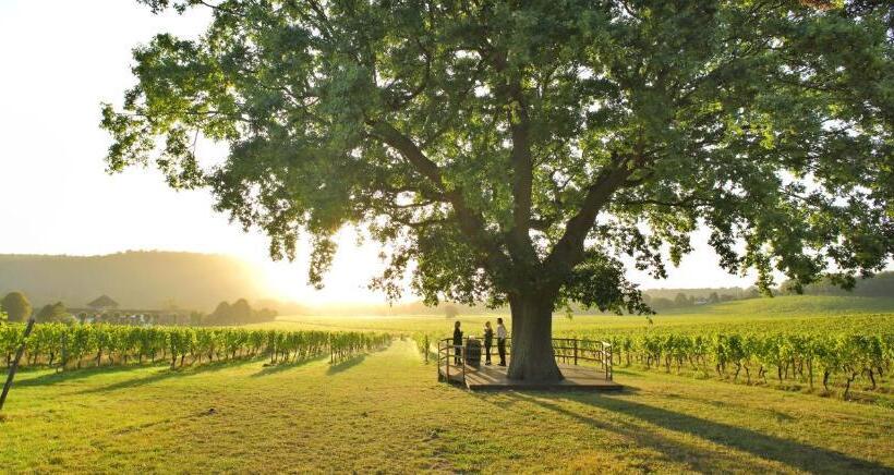 ホテル Denbies Vineyard