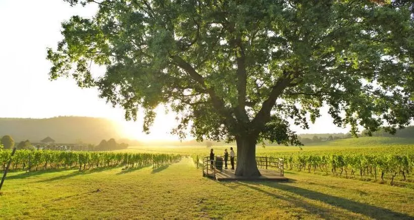 فندق Denbies Vineyard