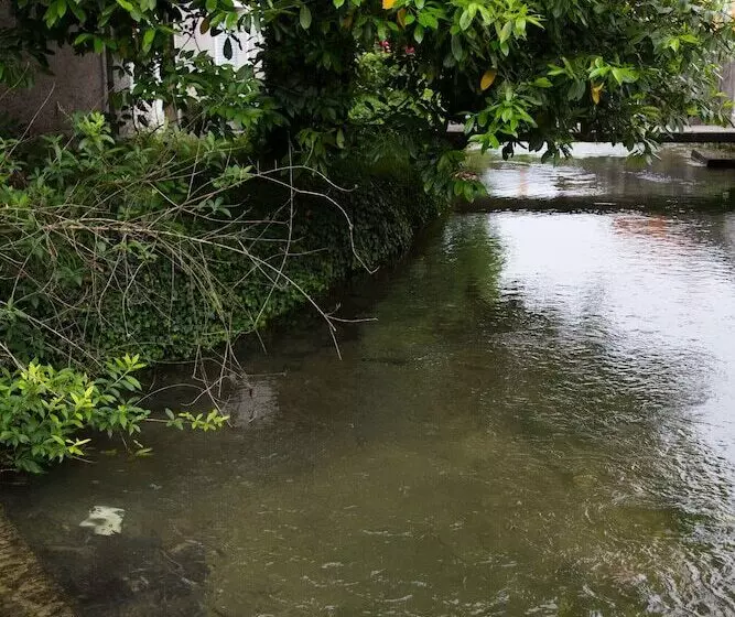 فندق Il Bosco Di Arichis