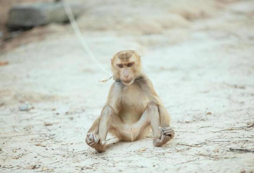 בית מלון כפרי Lanta Darawadee Resort