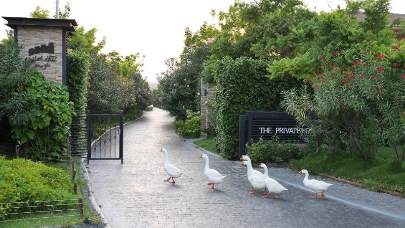 The Private Pool Villas At Civilai Hill Khao Yai