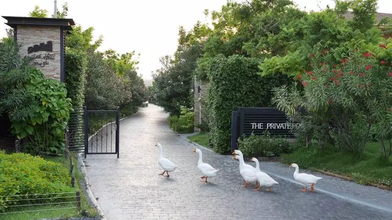 The Private Pool Villas At Civilai Hill Khao Yai