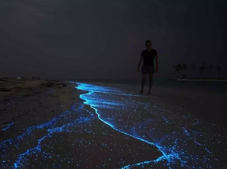 هتل Annama Lodge And Dive