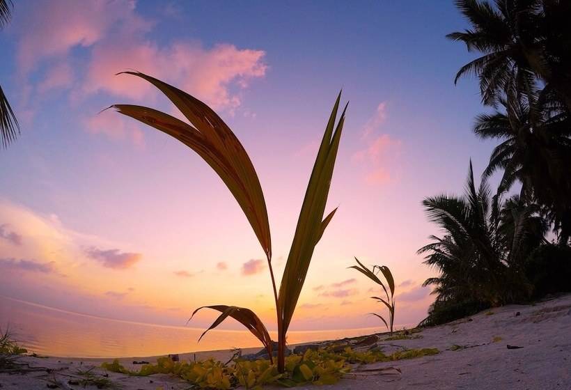 هتل Annama Lodge And Dive