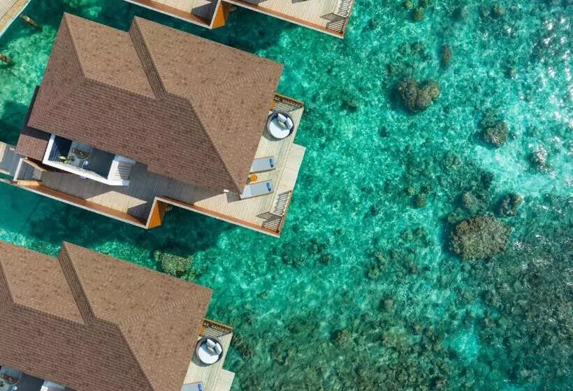 هتل Avani Plus Fares Maldives Resort
