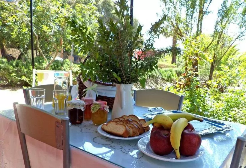 Hotelli Dendrolivano