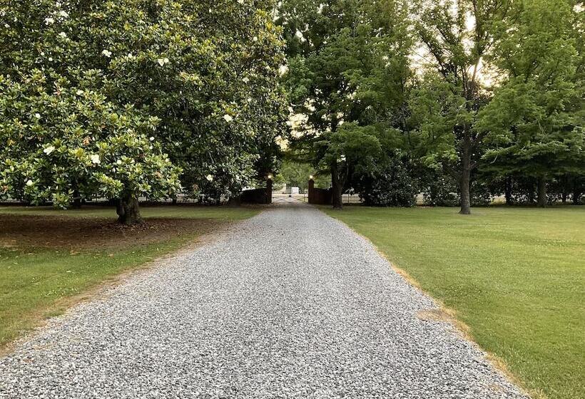 酒店 The Belmont 1857