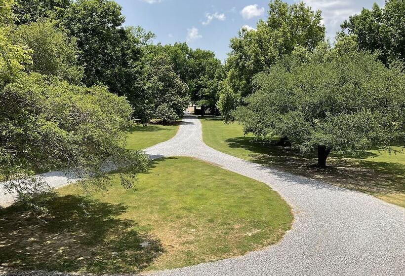 酒店 The Belmont 1857