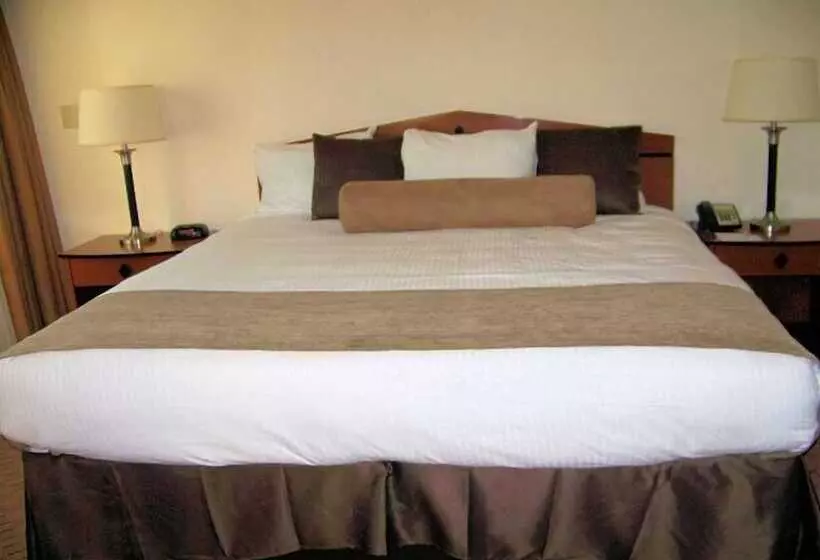 ホテル Adinkra Plaza