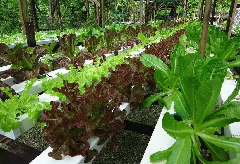 هتل Aganoa Lodge Samoa