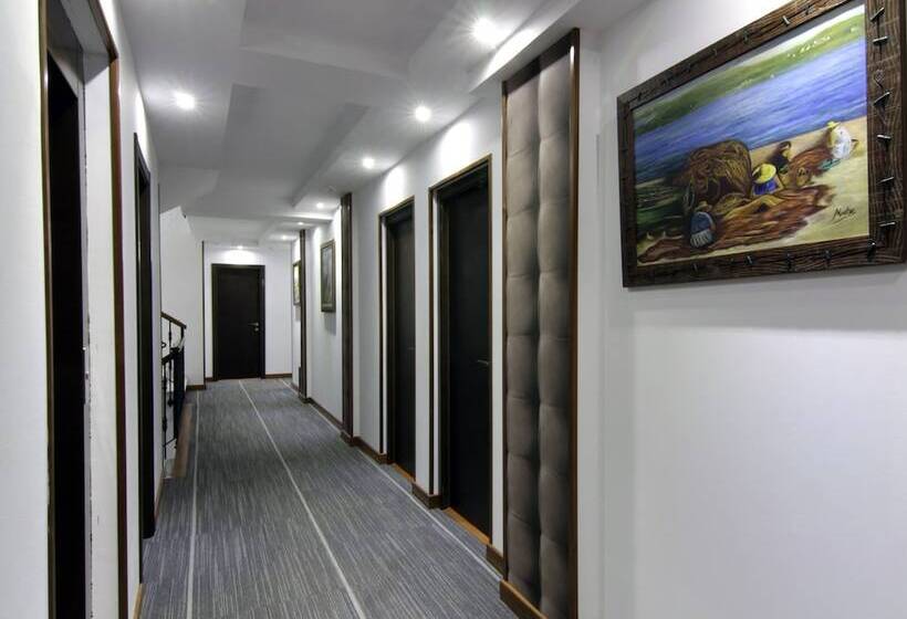 Hotelli As Areas Iii Playa