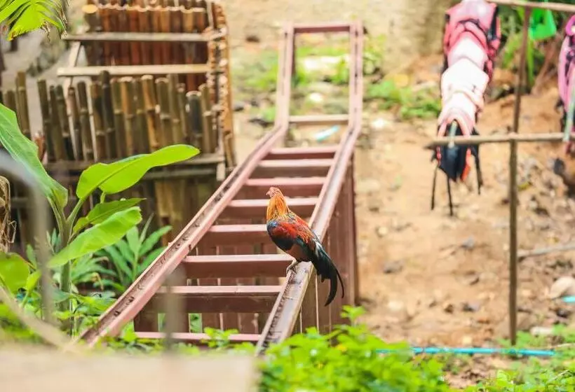 Hotel Phi Phi Sunset Bay Resort