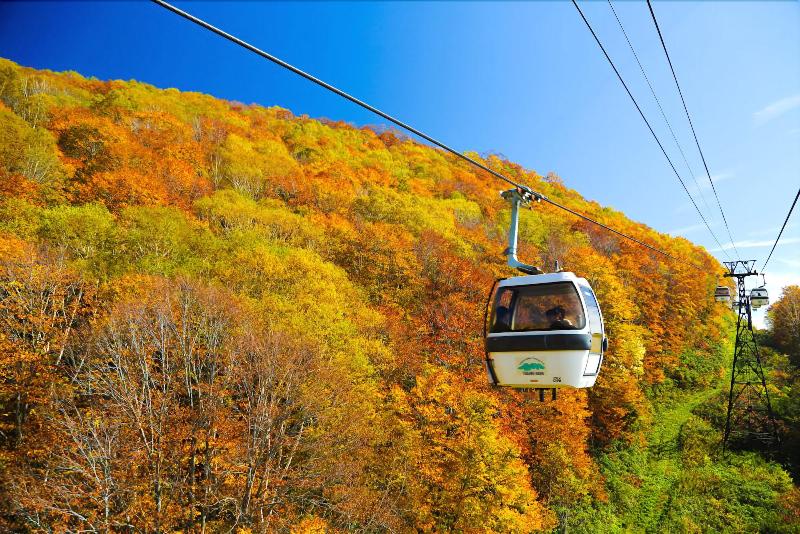 酒店 Resort Inn Marion Shinano