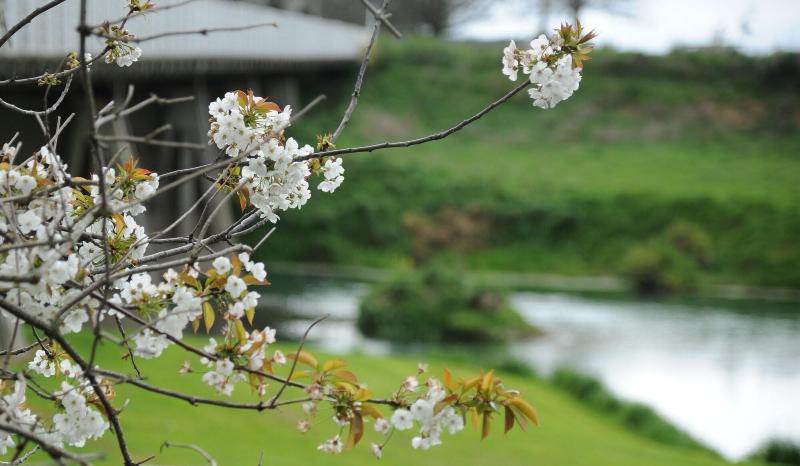 فندق على الطريق Blenheim Bridges Holiday Park