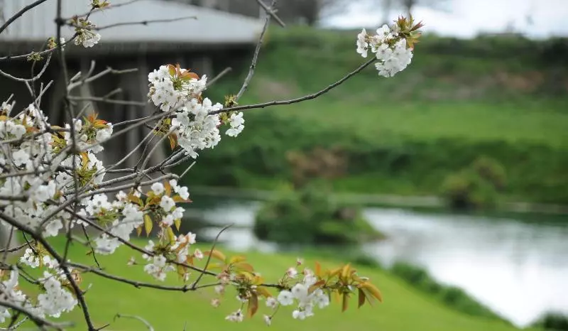 فندق على الطريق Blenheim Bridges Holiday Park