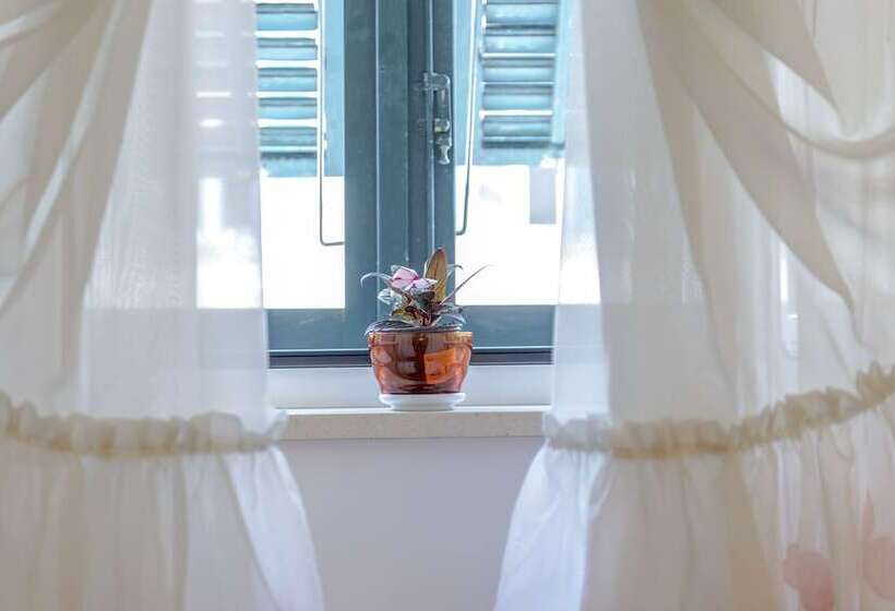 Studio Apartments Stradun