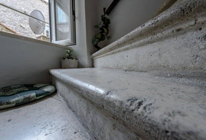 Studio Apartments Stradun