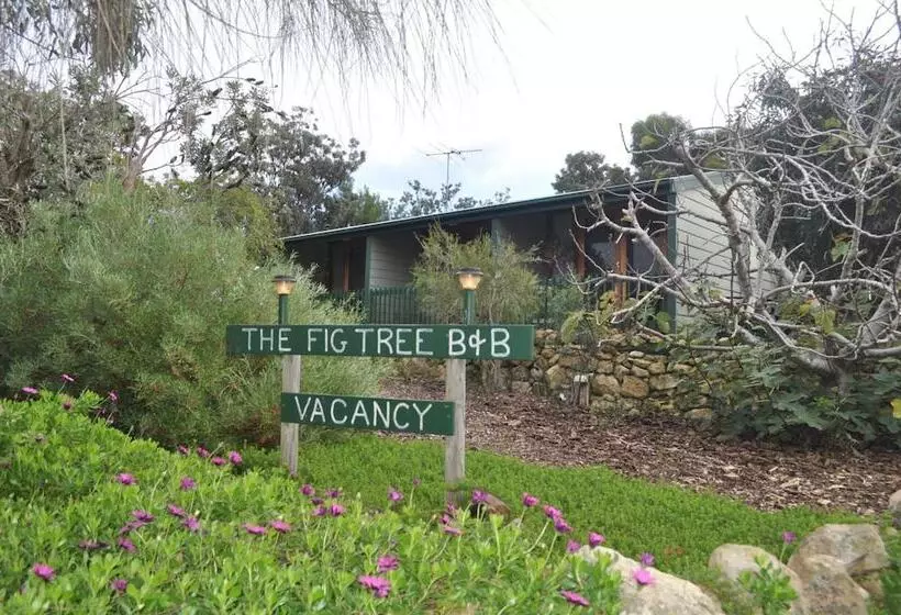 The Fig Tree B&b