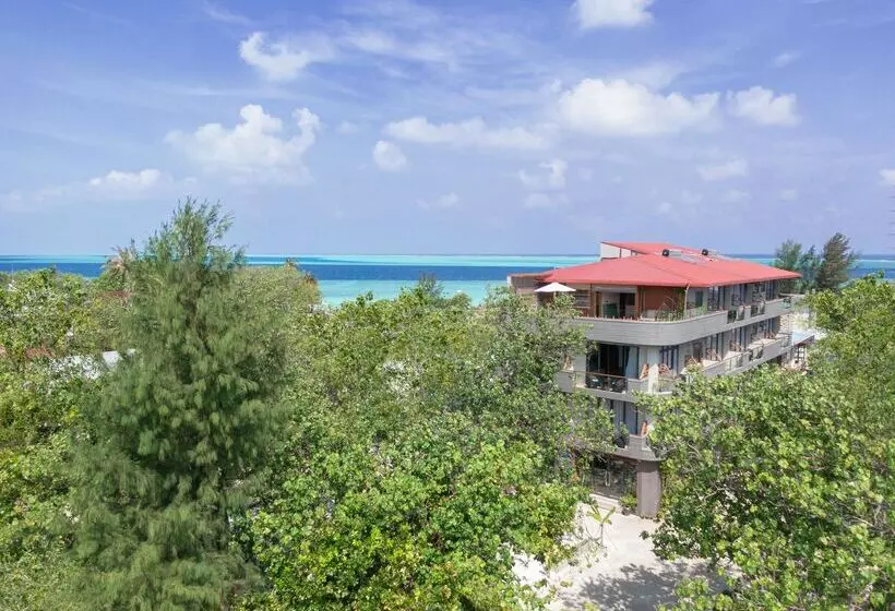 هتل Ayala Ocean View